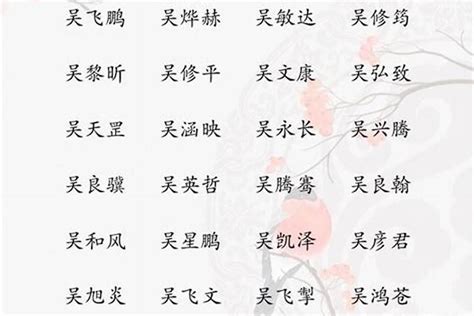 吳姓取名|姓吴男孩名字大全